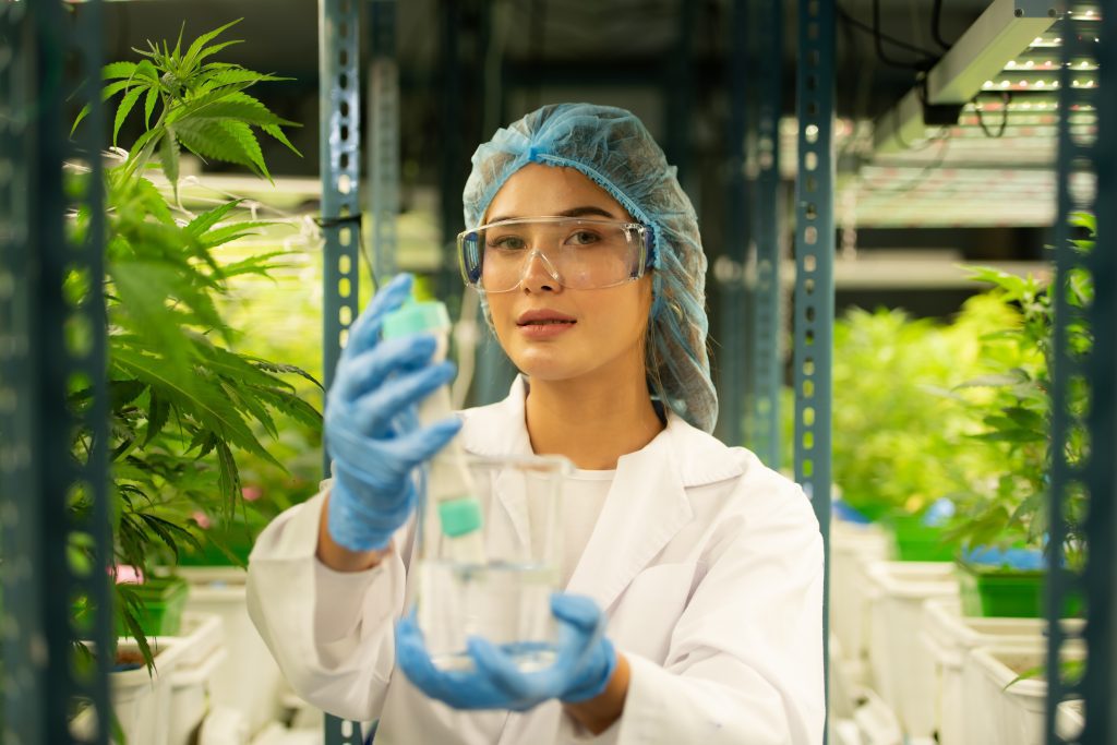 woman cannabis lab test